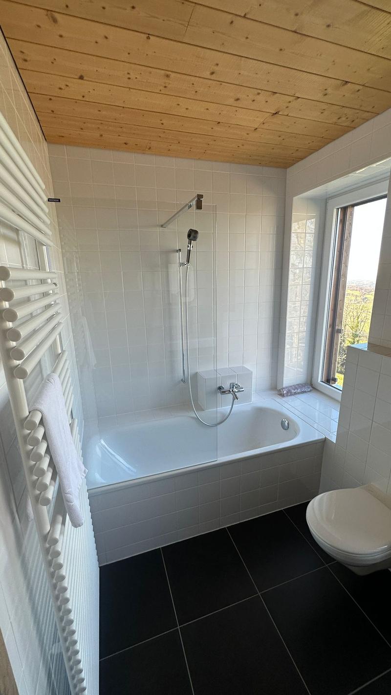 White ceramic tiles, bathtub with shower, wooden ceiling, window, toilet