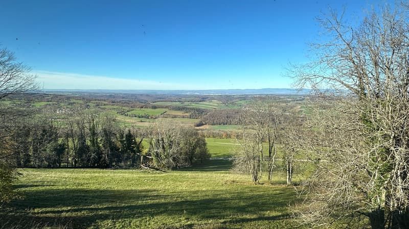 large field with green grass, trees, hills, blue sky