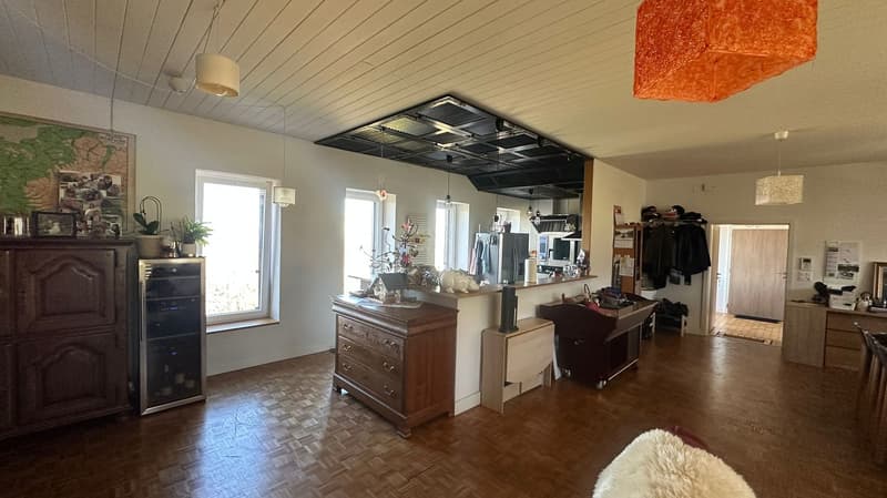 open plan kitchen and living room, wooden floor, white walls, wooden cabinets, white fur rug