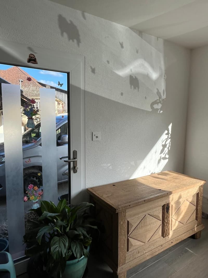 Entrance hall: door, wooden chest, white wall, plant, sunny wall