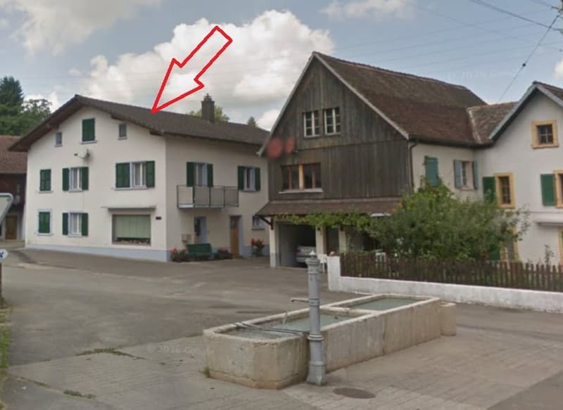 Two story house, white paint, wooden house at back, garage