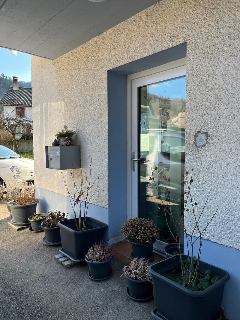 Concrete facade, gray mailbox mounted on the wall, entrance door with glass panel, multiple potted plants on the pathway