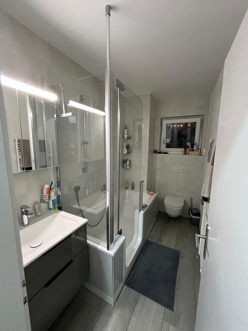 Modern bathroom with glass shower enclosure, bathtub, toilet, radiator, sink with vanity unit, shelves, mirrors, floor mat, illuminated lighting strip, toiletries, towel rack