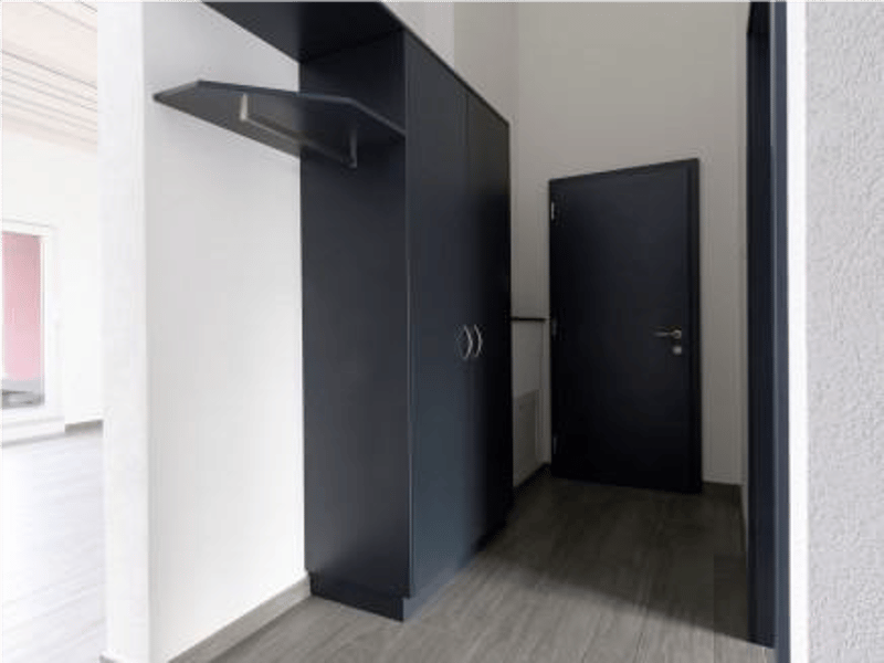 Empty room with black wardrobe, white walls, wooden floor, door