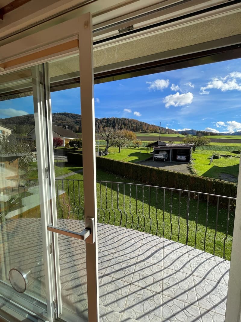 Beautiful 7-room family house in Montsevelier (12)
