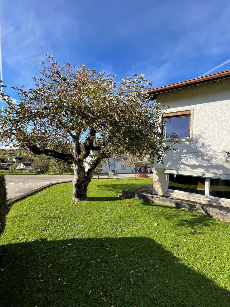 Beautiful 7-room family house in Montsevelier (8)