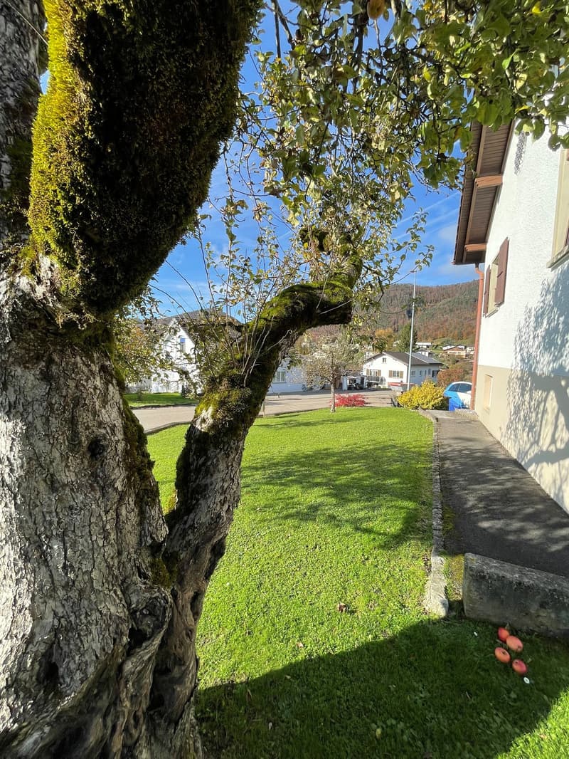 Beautiful 7-room family house in Montsevelier (9)