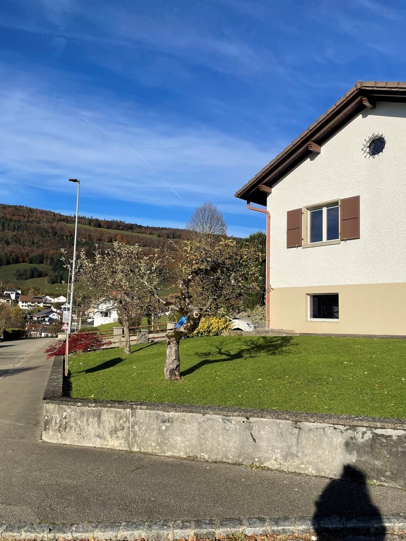 Beautiful 7-room family house in Montsevelier (6)