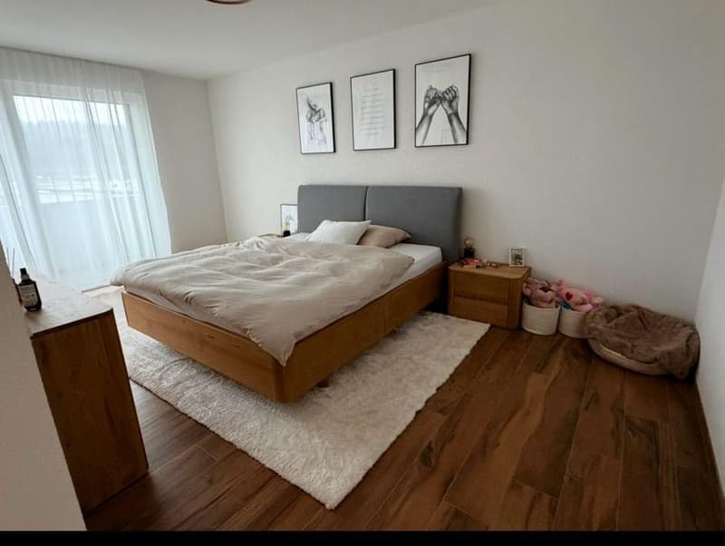 Attique de haut standing, 4.5 pièces avec place dans parking (12)