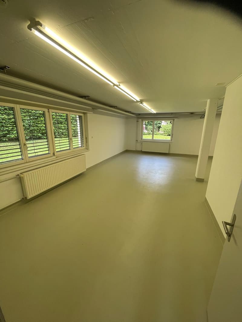 135 m² Espace commercial / Atelier lumineux à louer à Courroux (2)