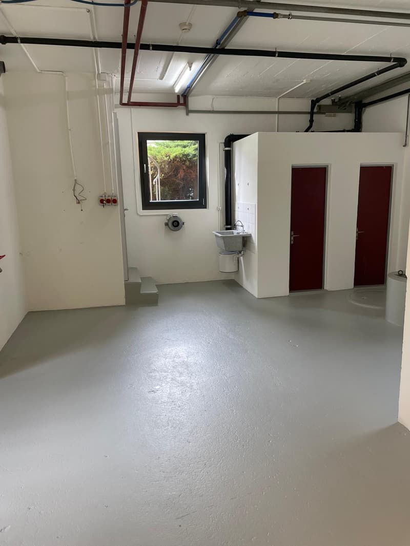 90 m² Espace commercial / Atelier à louer à Courroux (7)
