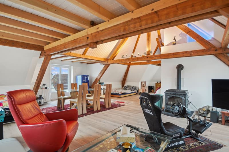 Grande maison familiale de 2 appartements à Boncourt (12)