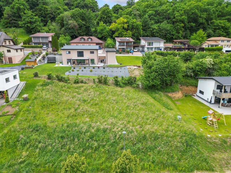 Aerial view of a residential neighborhood with multiple houses surrounded by lush green trees and vegetation. The houses have various architectural styles and some have balconies or terraces visible.