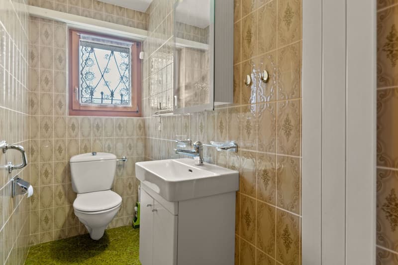 The image shows a bathroom with beige and gold patterned tiles on the walls. There is a toilet, a sink with a vanity cabinet, and a window with decorative glass panes. The floor is covered with a green carpet.
