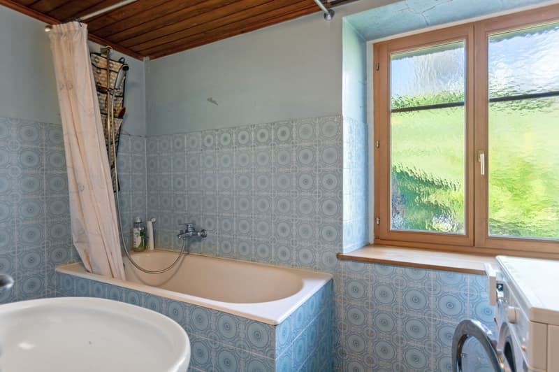 tiled walls, bathtub, shower, white sink, washing machine, window with view