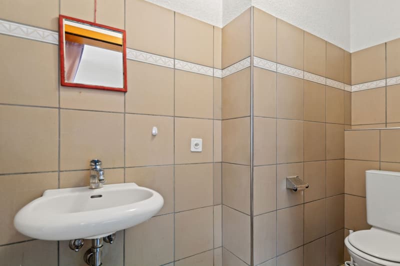 Tiled walls, white sink, silver faucet, mirror, toilet, towel rack
