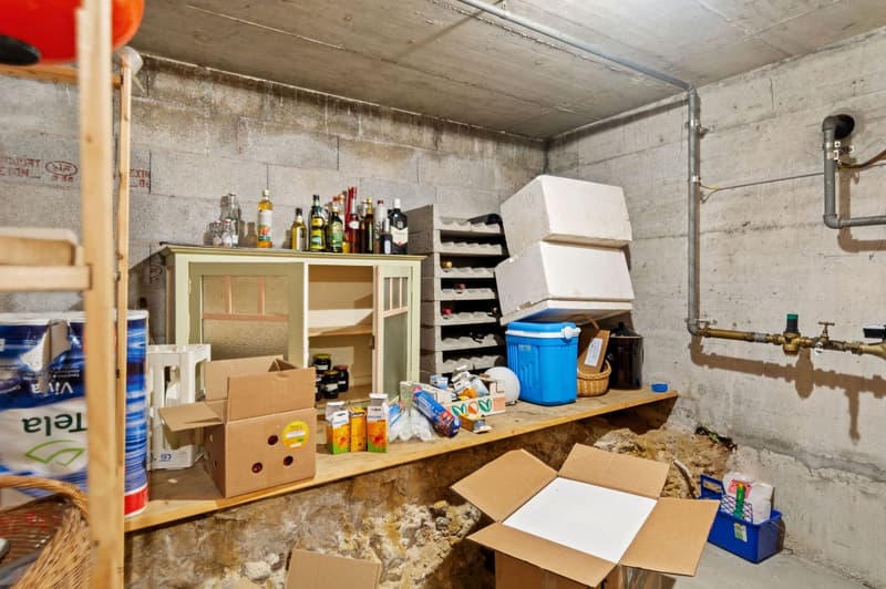 Basement storage room with wooden shelves, bottles, boxes, a counter, a basket, a blue storage box and a blue cooler.