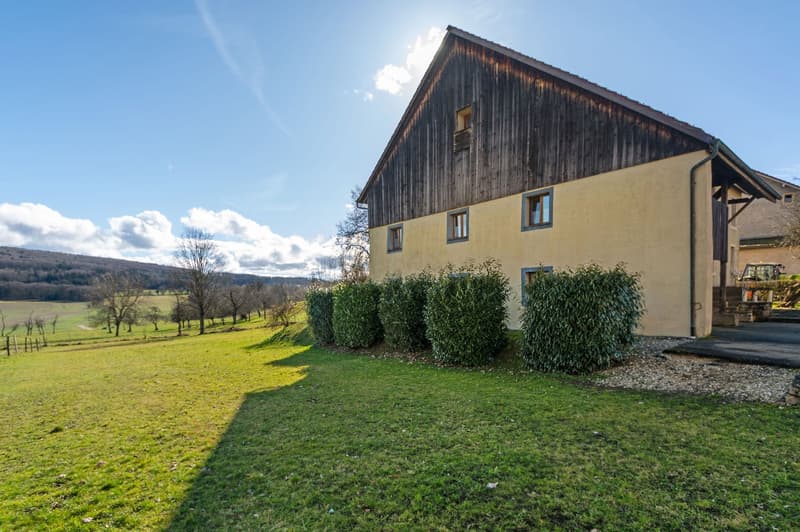 Detached house, wooden facade, yellow walls, brown roof, surrounded by bushes, driveway, green field, distant hills