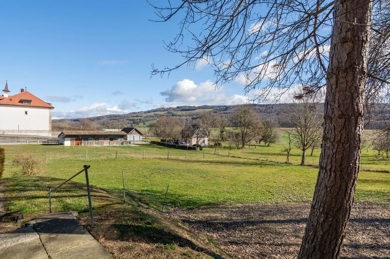 large green field, trees, houses, mountains in the background