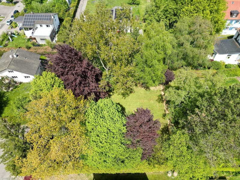 Terrain à bâtir dans un quartier résidentiel de Porrentruy (7)