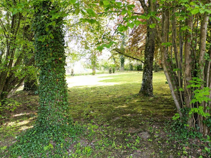 Terrain à bâtir dans un quartier résidentiel de Porrentruy (6)