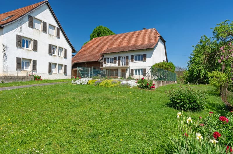 Village house with 6.5 rooms and rural area in Montignez (1)