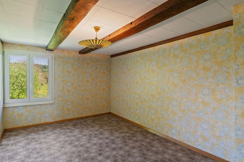 Village house with 6.5 rooms and rural area in Montignez (8)