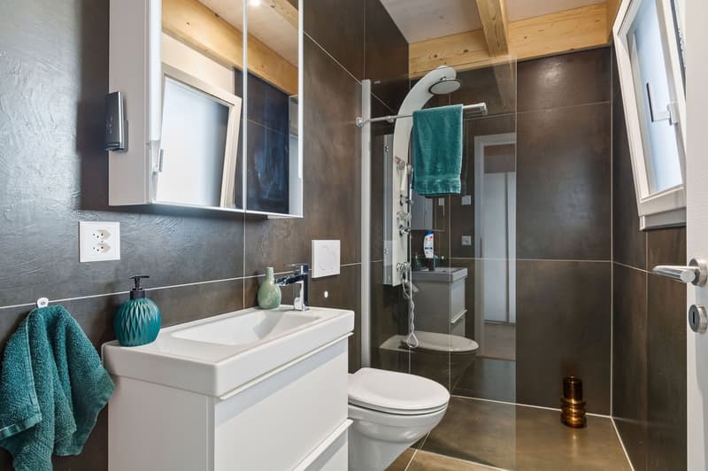 Spacious single-family house with 6.5 rooms in Courgenay with independent professional space (6)