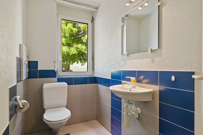Architect's house with 6.5 rooms in Porrentruy (6)