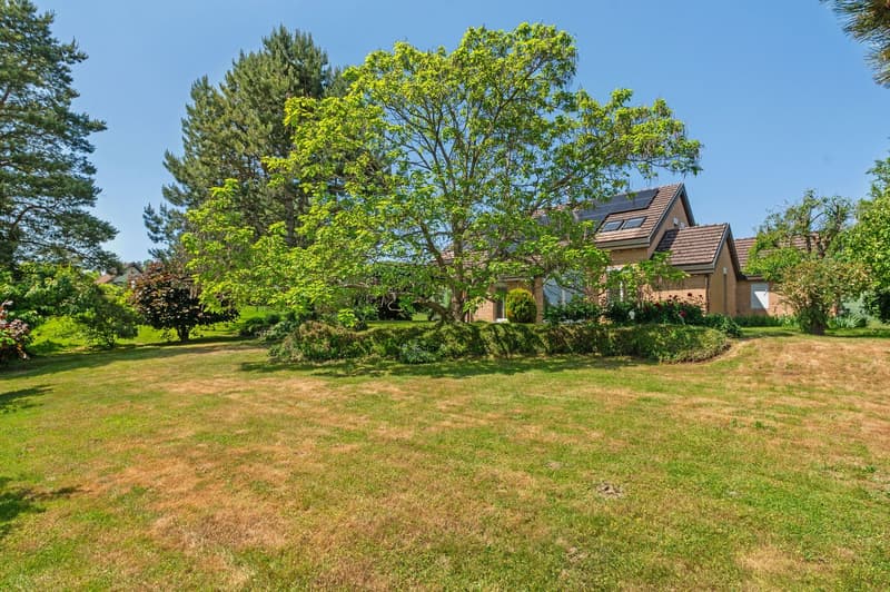 Architect's house with 6.5 rooms in Porrentruy (12)