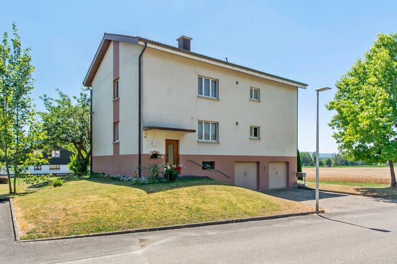 Immeuble locatif de 2 appartements à Miécourt (1)