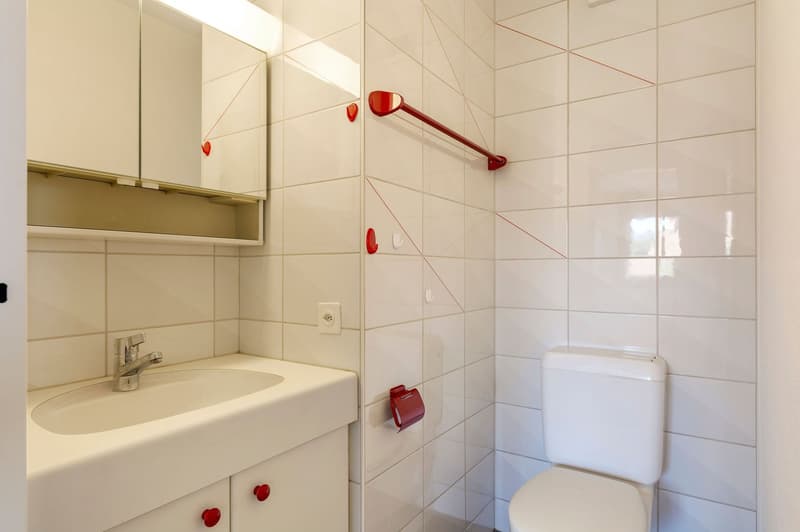 Confortable appartement de 4.5 pièces à Bassecourt (10)