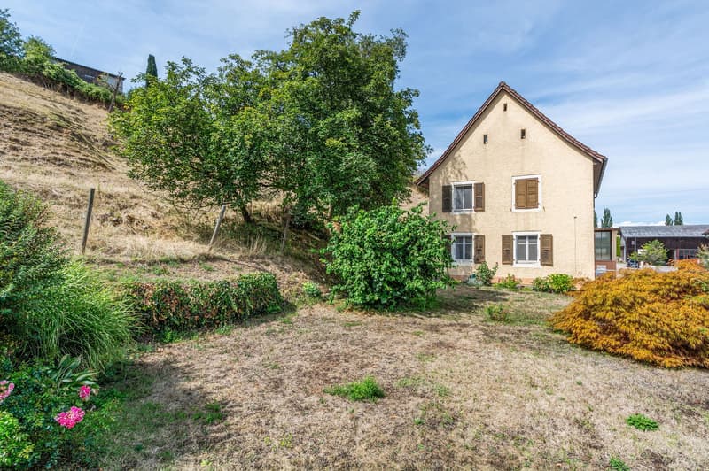 Charmante maison individuelle de 5.5 pièces à Boncourt (13)