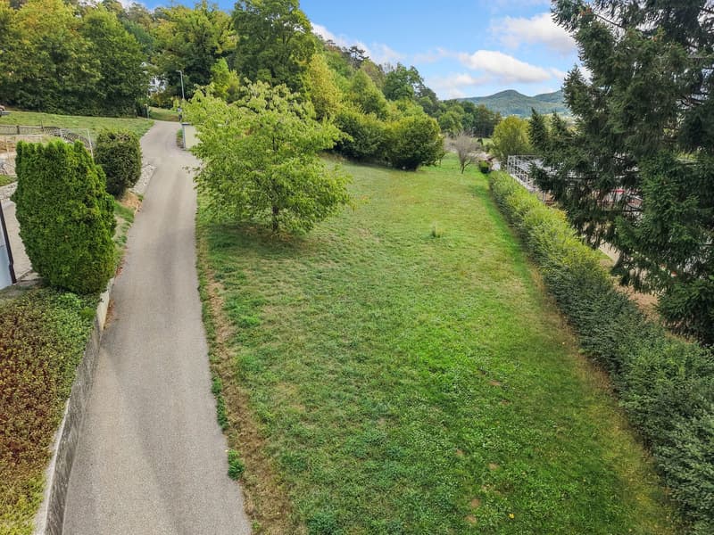 Terrain à bâtir dans un quartier résidentiel de Miécourt (5)