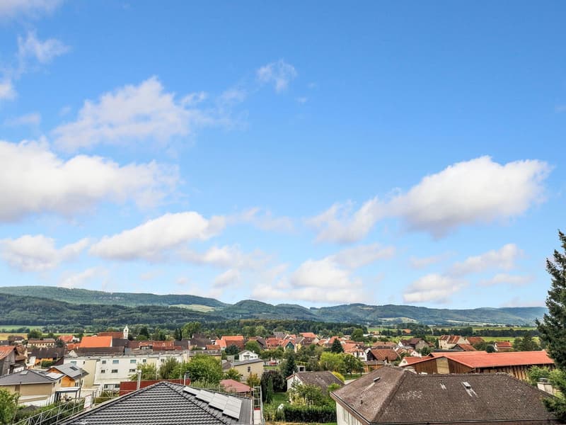 Terrain à bâtir dans un quartier résidentiel de Miécourt (6)