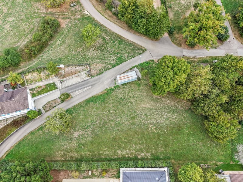 Terrain à bâtir dans un quartier résidentiel de Miécourt (2)