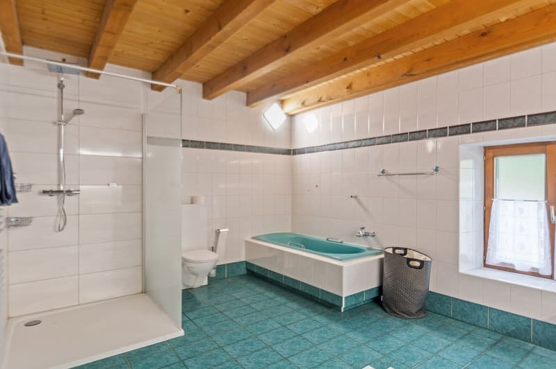 Spacieuse maison mitoyenne de 9 pièces avec espaces de travail et de stockage à Chevenez (9)