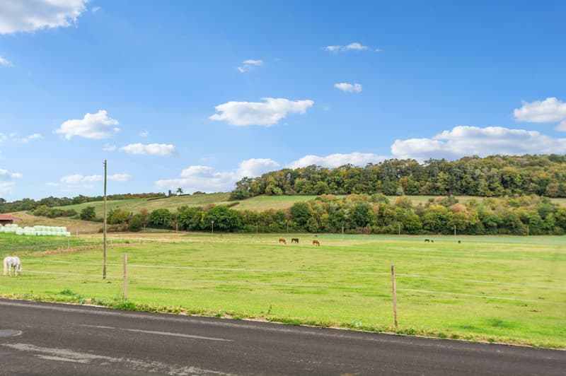 Spacieuse maison mitoyenne de 9 pièces avec espaces de travail et de stockage à Chevenez (12)