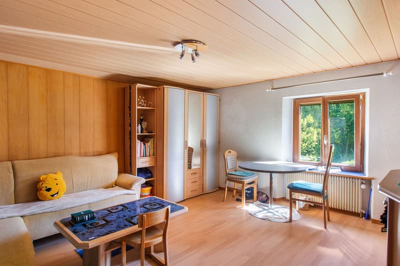 Spacieuse maison individuelle de 10 pièces à Lugnez (8)