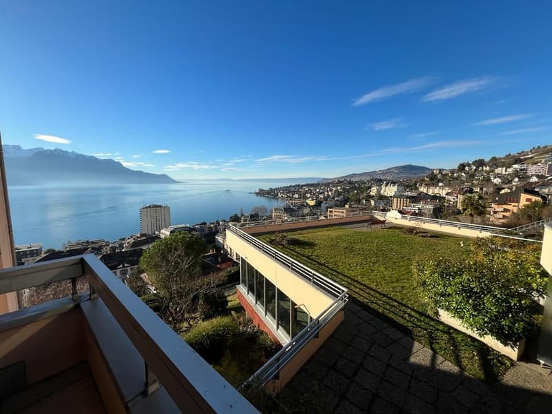 Joli 1 pièces avec magnifique vue sur le lac et les Alpes à Montreux (1)