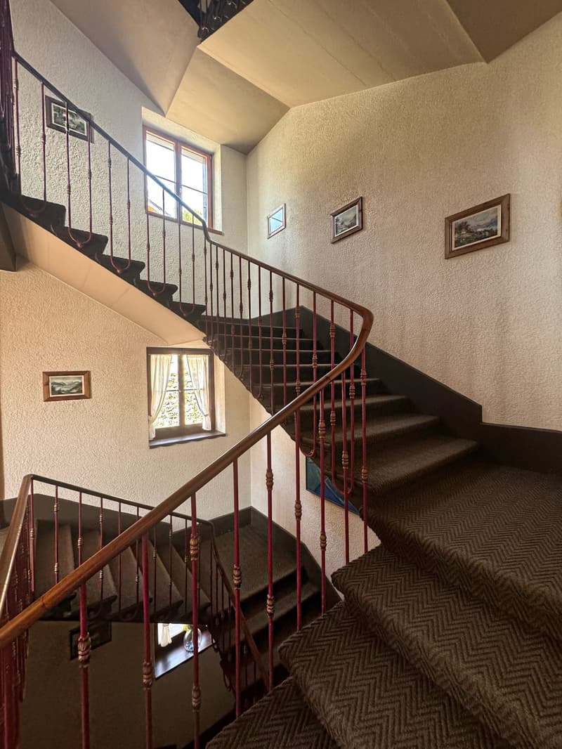 Staircase with carpeted steps, red metal railing, wall frames, wooden handrail