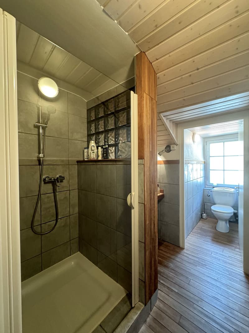 Bathroom with shower and toilet, wooden floor, tiled walls, wooden ceiling, wall-mounted light, shampoo and conditioner bottle on shelf