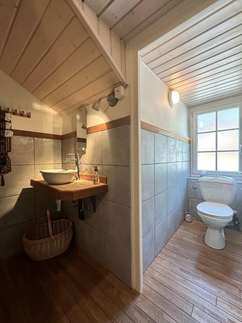 small bathroom with a white sink, shower, and toilet