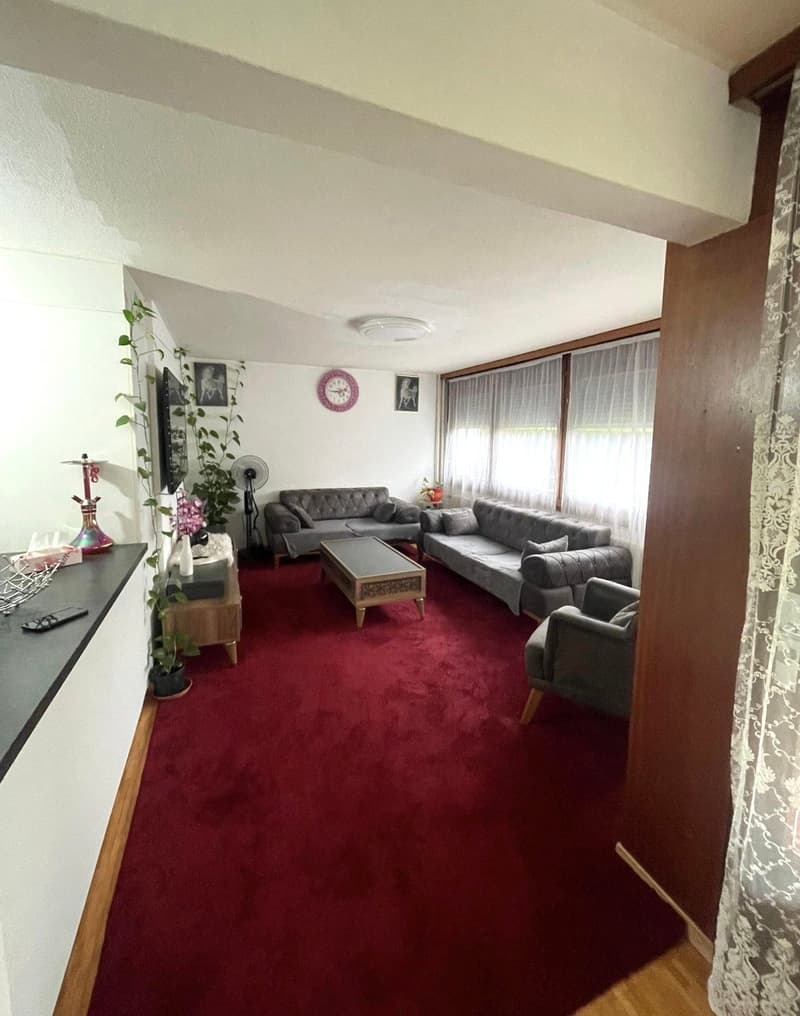 a living room with two couches and a coffee table with a table, a fan, a TV on a stand, a carpet, a curtain, a picture frame on the wall, and a decorative item