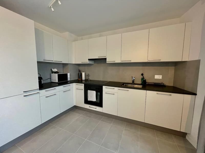 Modern kitchen with white cabinets, black countertops, built-in microwave, sink, faucet, oven, dishwasher, and a roll of paper towels on the countertop.