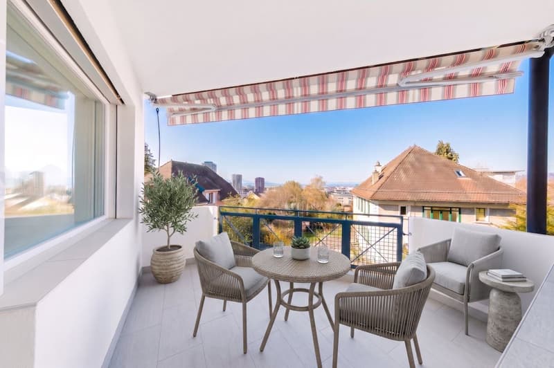Appartement rénové de 5.5 pièces + studio indépendant (2)