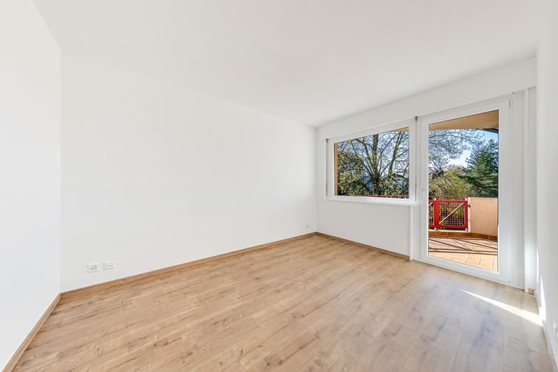 Appartement rénové de 5.5 pièces + studio indépendant (5)