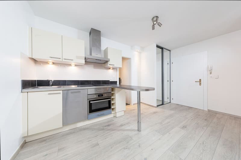 Appartement rénové de 5.5 pièces + studio indépendant (12)