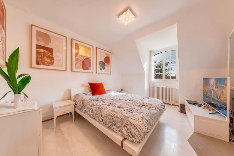 Maison de Luxe Familiale à Presinge (10)