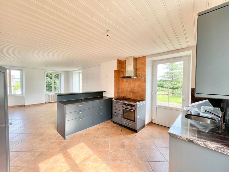 Spacious individual house with character (2)